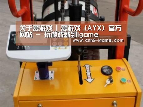 爱游戏案例展示三