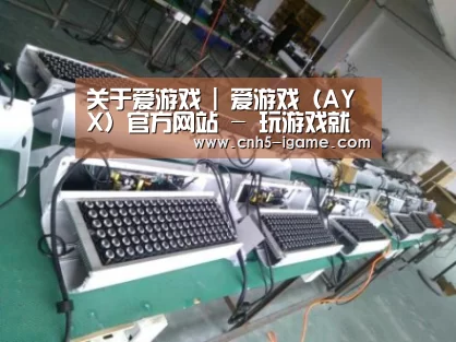爱游戏案例展示一