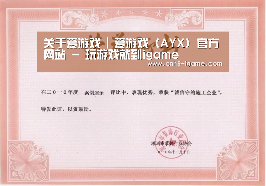 爱游戏荣誉证书一(图1)