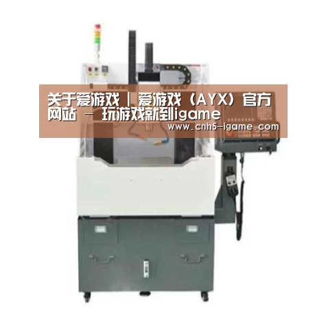 爱游戏产品名称二