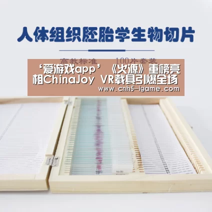 爱游戏