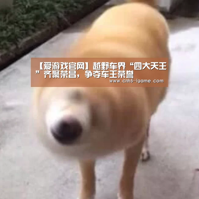 爱游戏官网