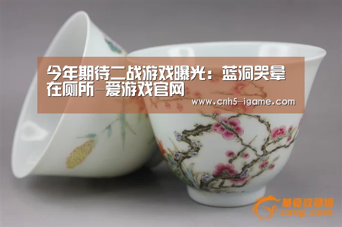 今年期待二战游戏曝光:蓝洞哭晕在厕所-爱游戏官网(图3) 爱游戏官网