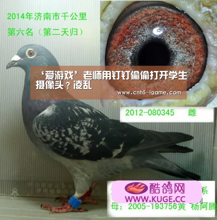 爱游戏官网