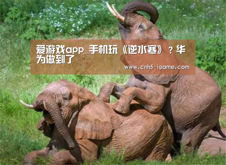 爱游戏app_手机玩《逆水寒》?华为做到了(图3) 爱游戏